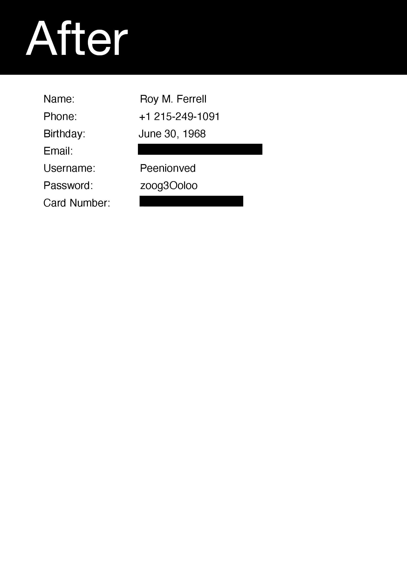 PDF Redaction Example. After