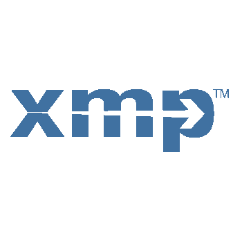 XMP metadata in Pdf document